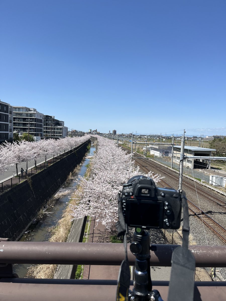 EDOGAWAYN's tweet photo. カメラは固定しなきゃやってられん https://t.co/EmHDKGv7Nj