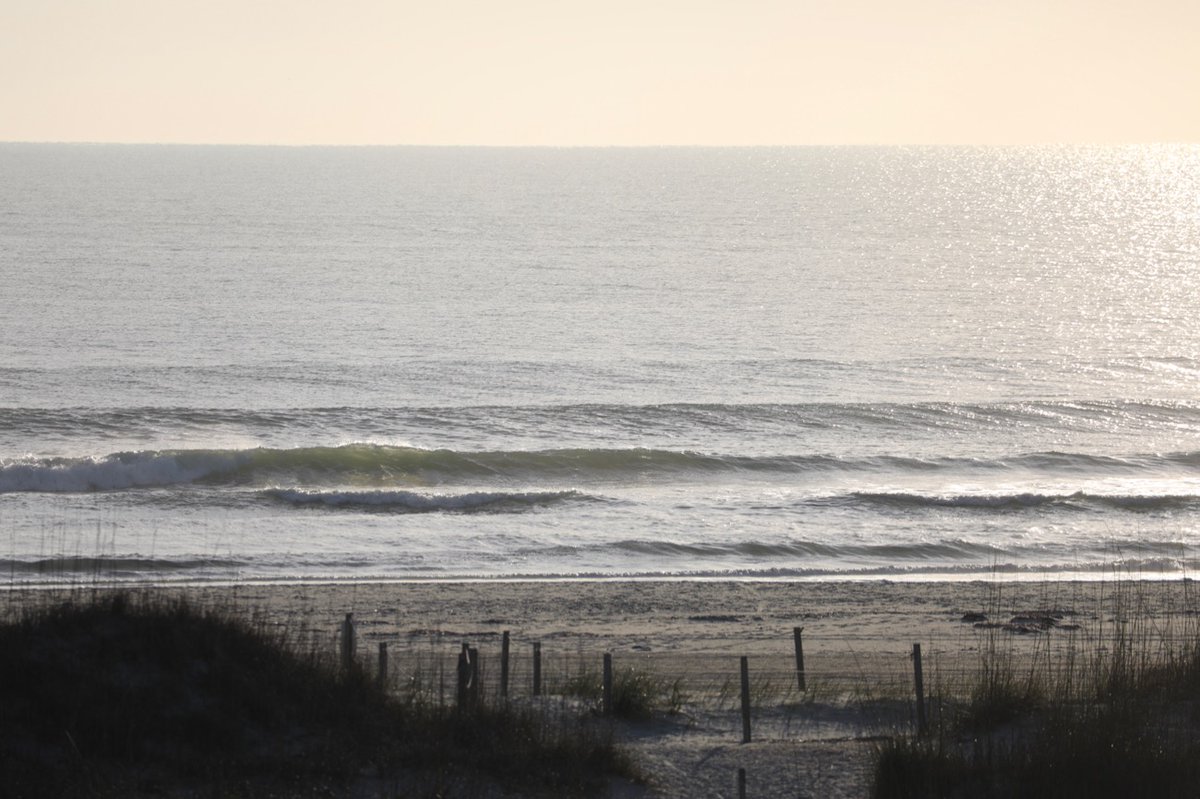 The Surf Station tweet media