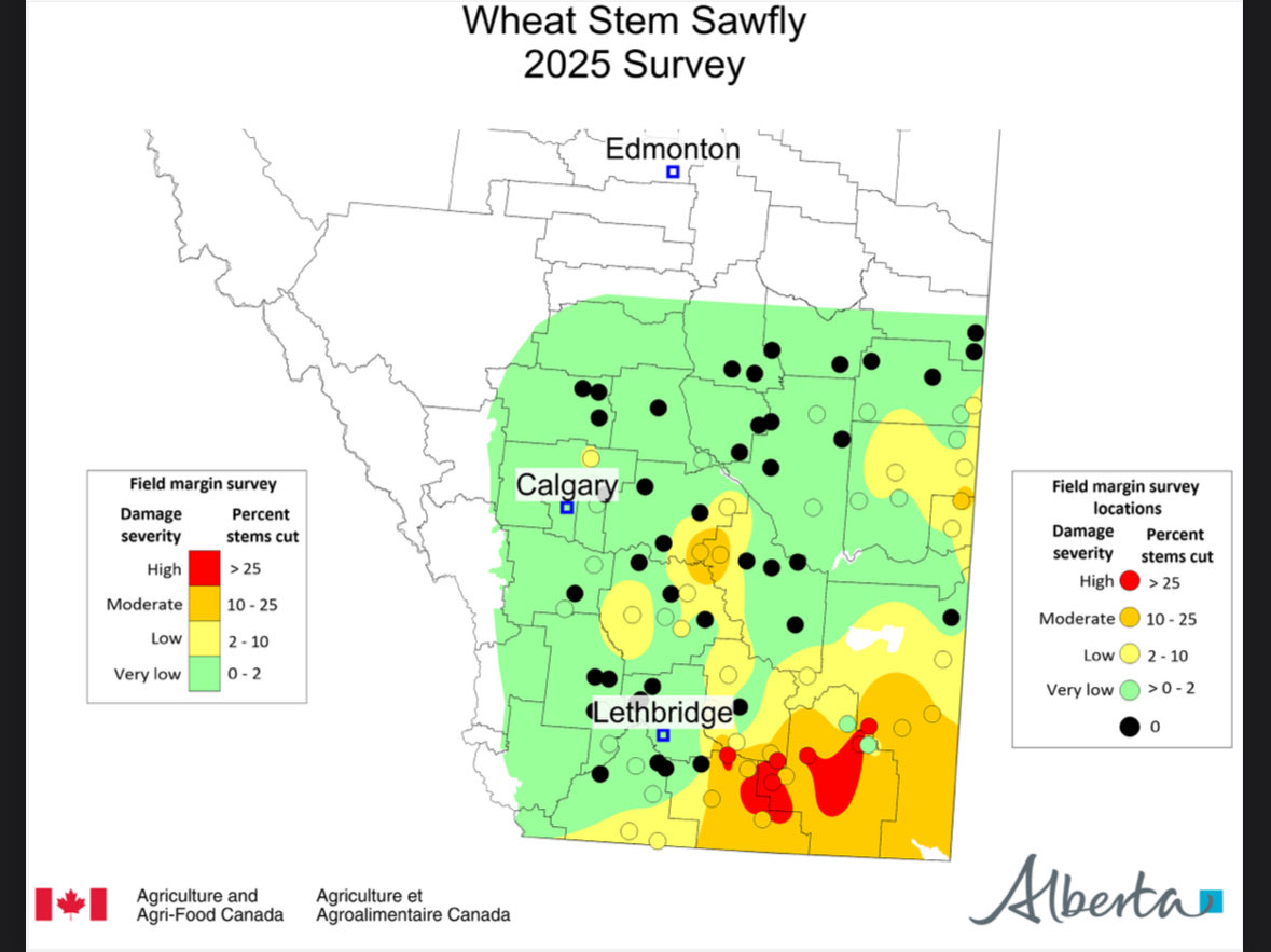 Water Miser tweet media