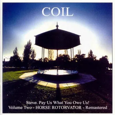 I just listened to Coil for the first time ever, and the first half of this album is amaaazing! Sadly the rest doesn't quite keep up but it's still fine.
I liked the album overall anyway
(it's the Horse Rotorvator remastered version with 12 tracks btw)