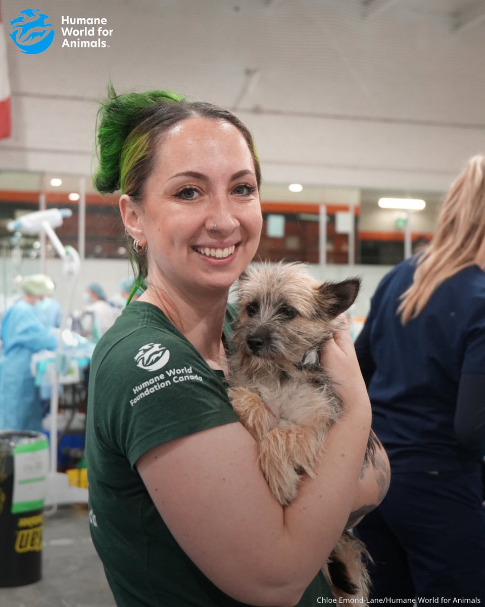 Humane World for Animals Canada tweet media