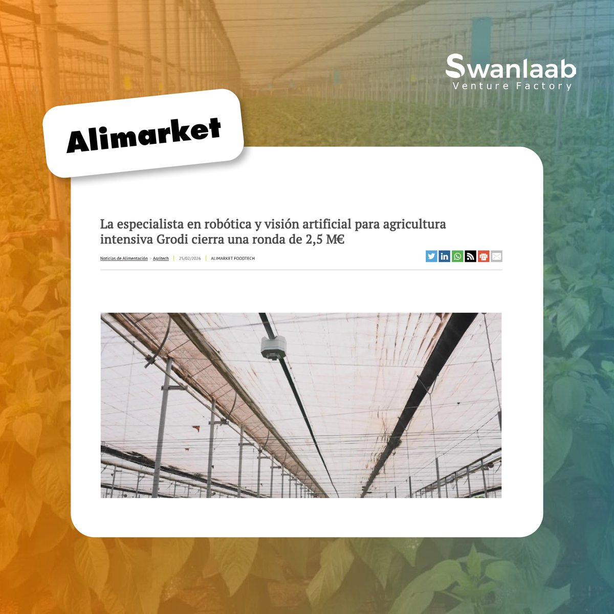 Swanlaab Venture Factory tweet media