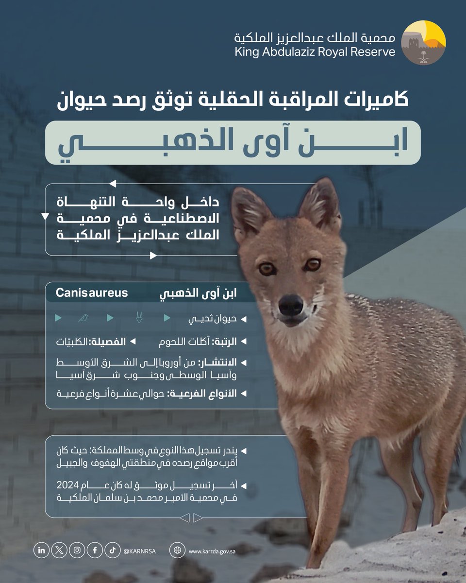 محمية الملك عبدالعزيز الملكية tweet media