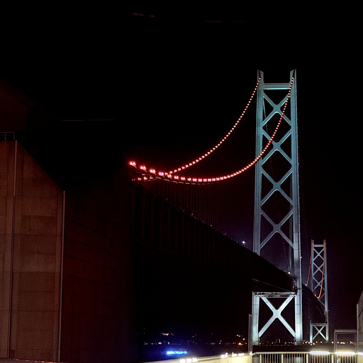 ことこ tweet media