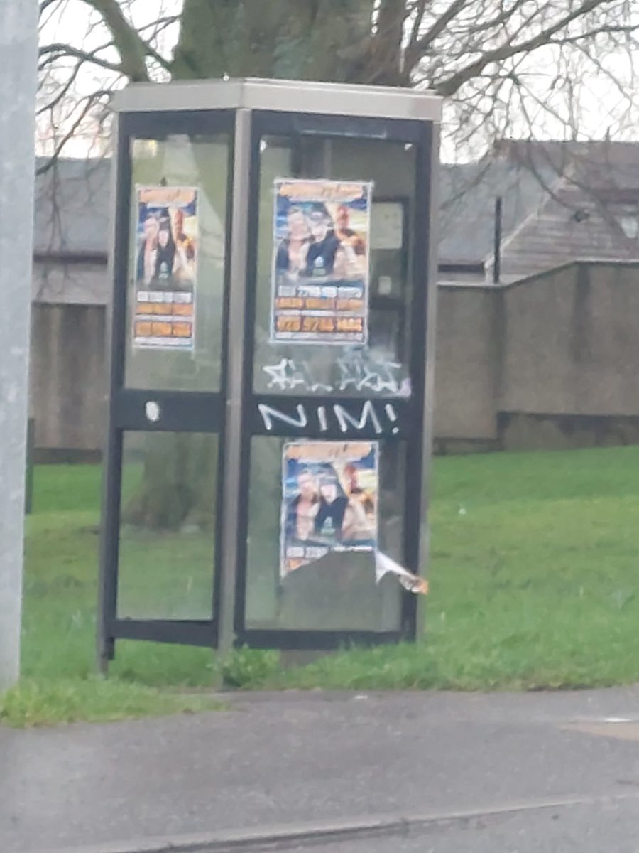 Dobby Club tweet media