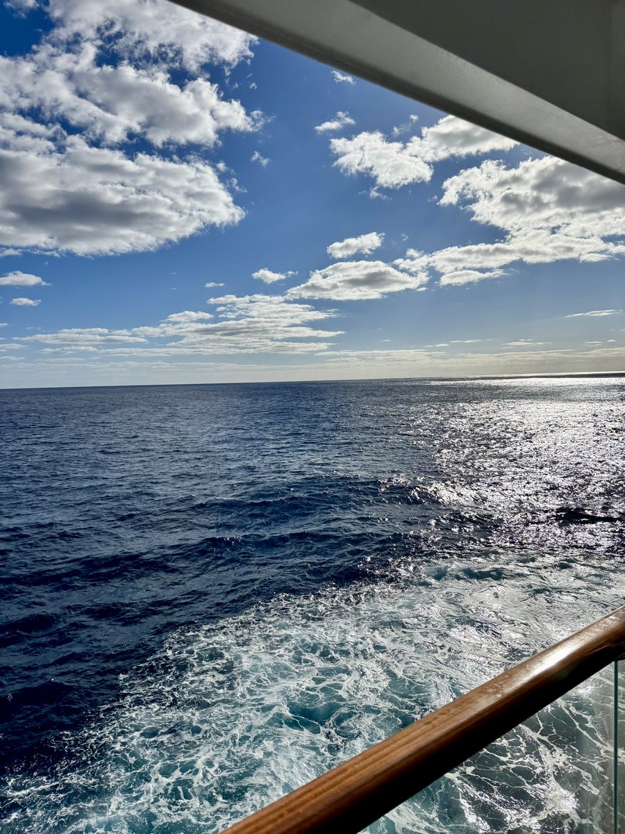 Clay Clayton ☮️🦅🇺🇸 tweet media