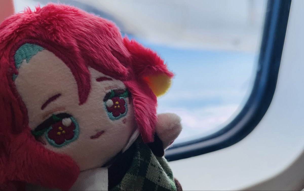 しらたま (@shiratamrmr) / Posts / X