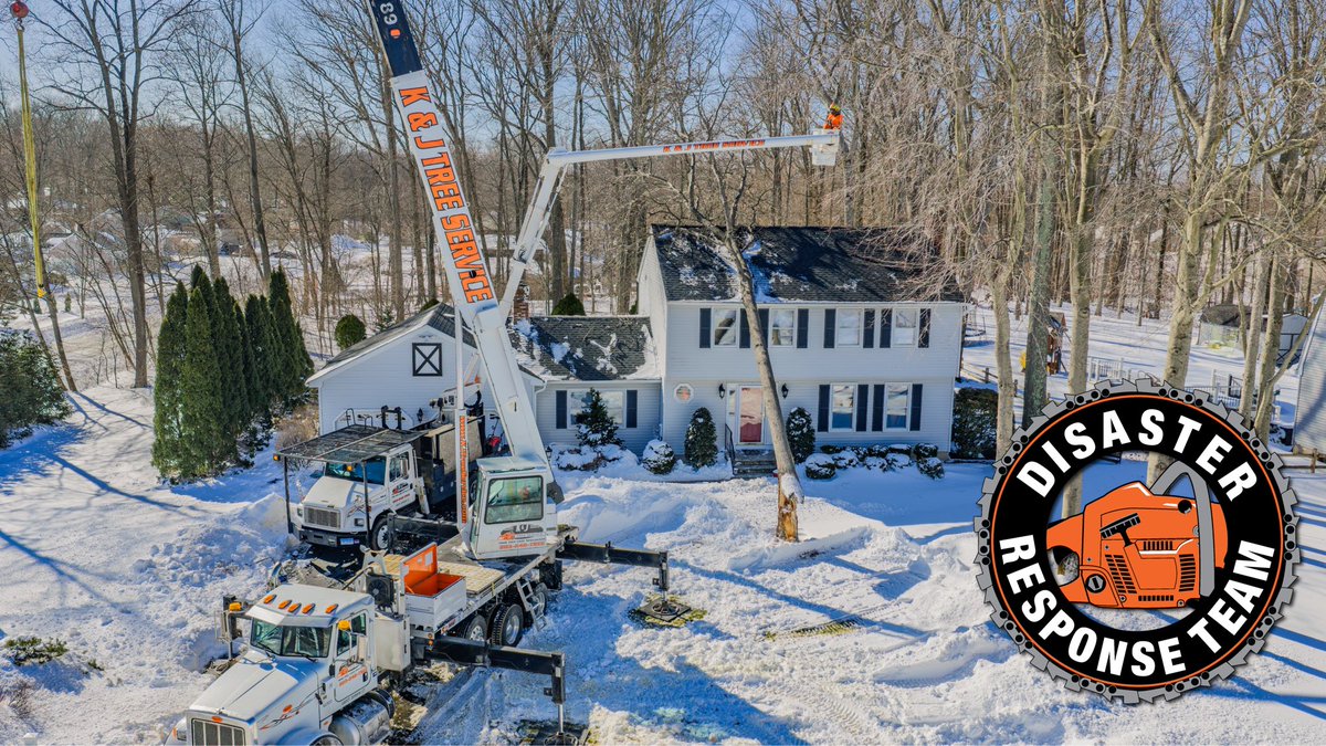 K&J Tree Service tweet media