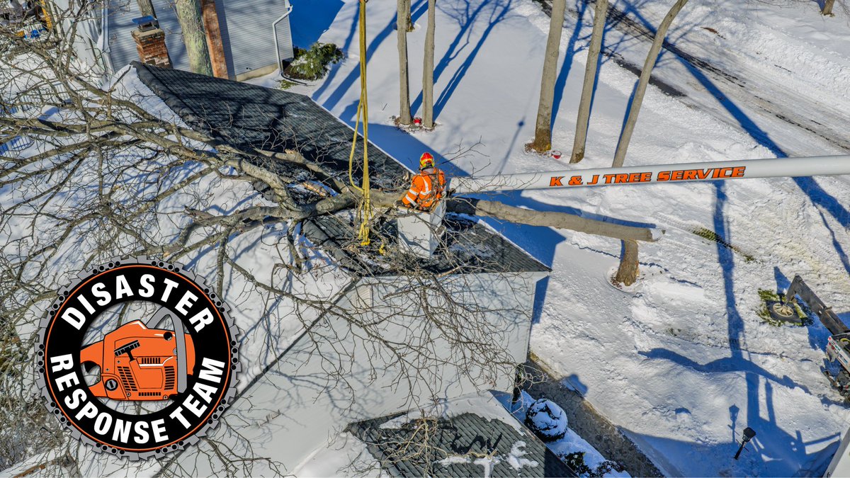 K&J Tree Service tweet media