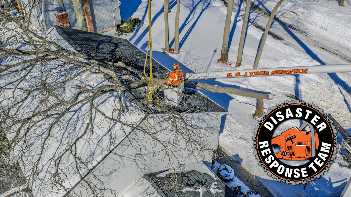 K&J Tree Service tweet media