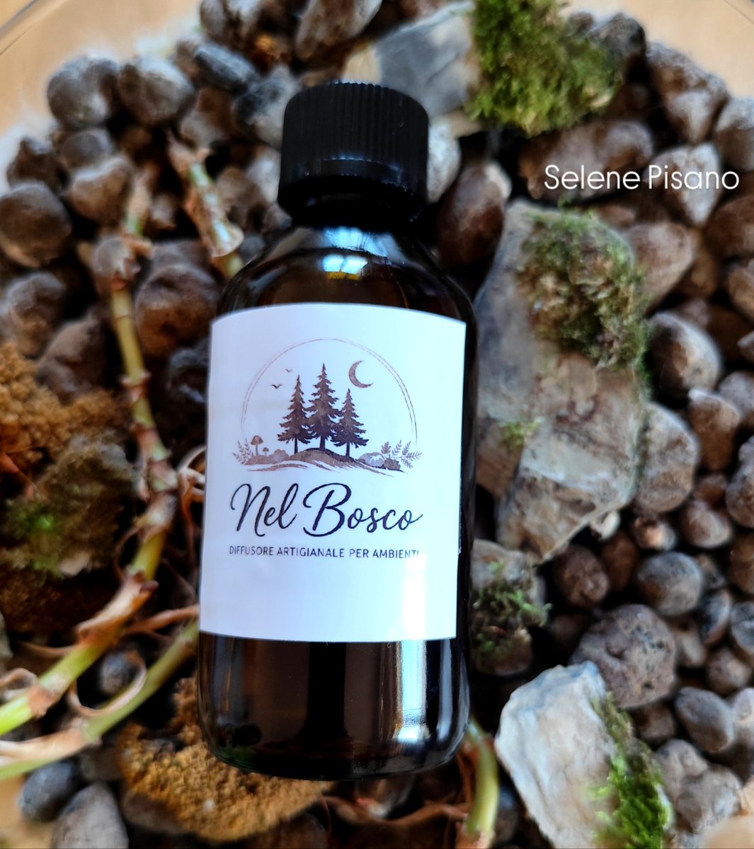 lunaelupo7's tweet image. Nel Bosco 🌲
Non è solo un profumo: è un piccolo rituale per respirare, radicarsi e ritrovare equilibrio.
Note verdi e legnose, realizzato a mano.
Respira. Il bosco è più vicino di quanto pensi.
#diffusoreartigianale #oliessenziali #naturopatia #ritualiquotidiani #profumobio