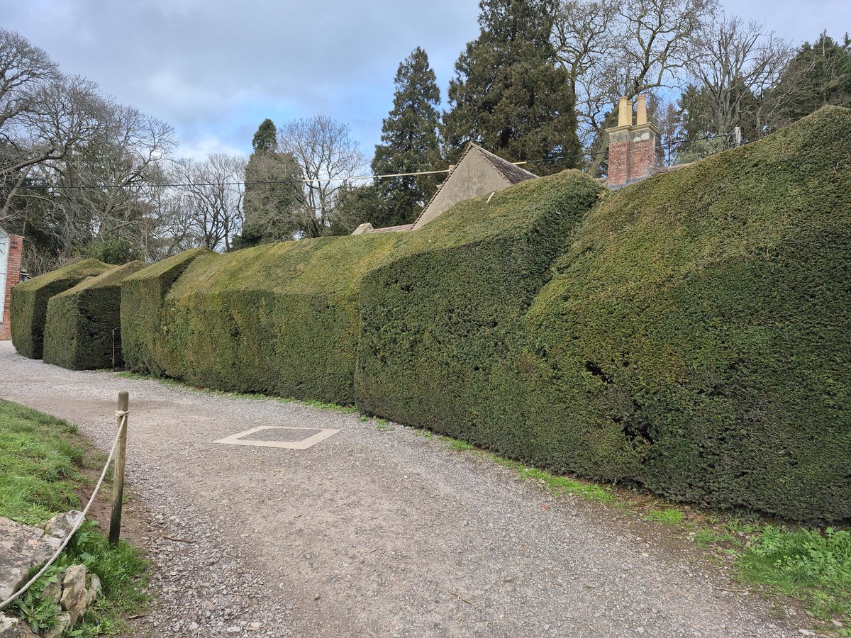 these HD texture packs for low poly games are getting out of hand