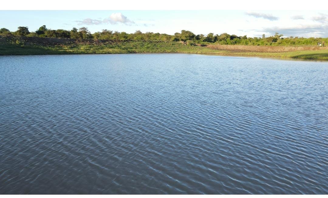 kenciomatt tweet media