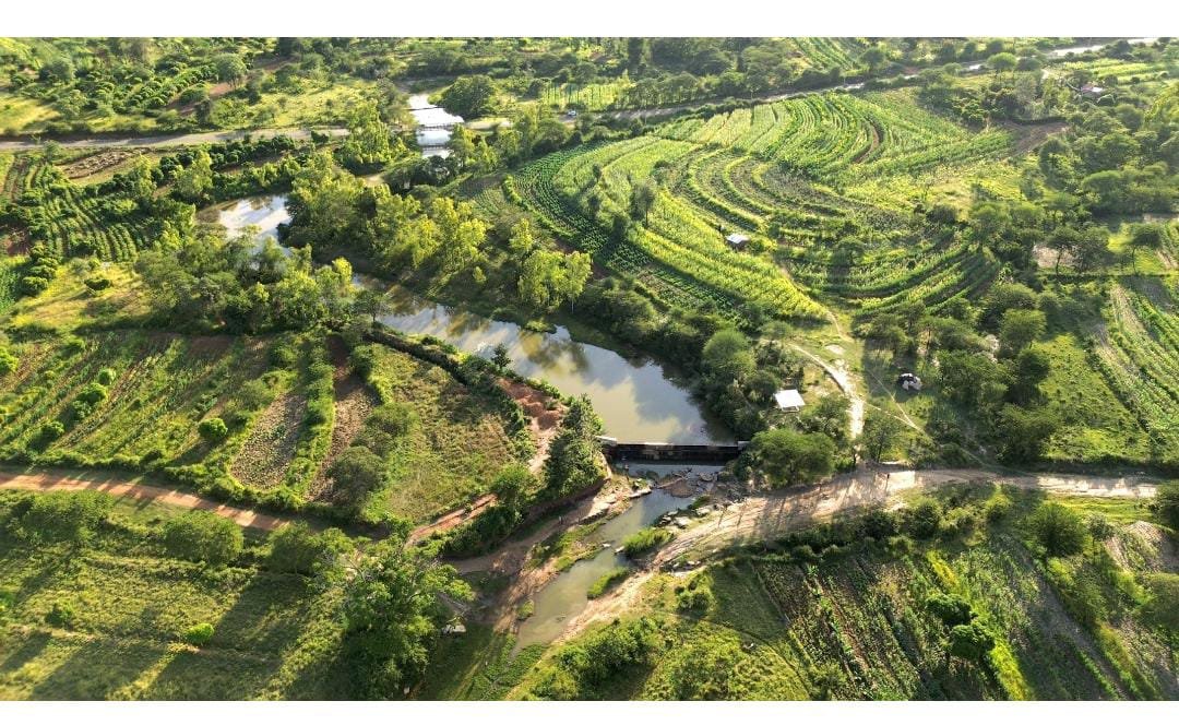 kenciomatt tweet media