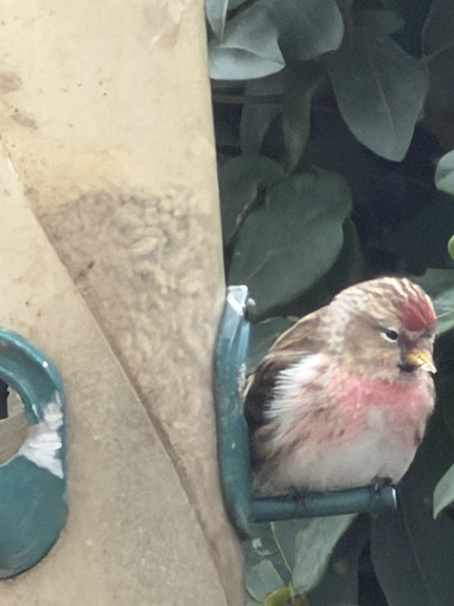 Alan Crossley tweet media