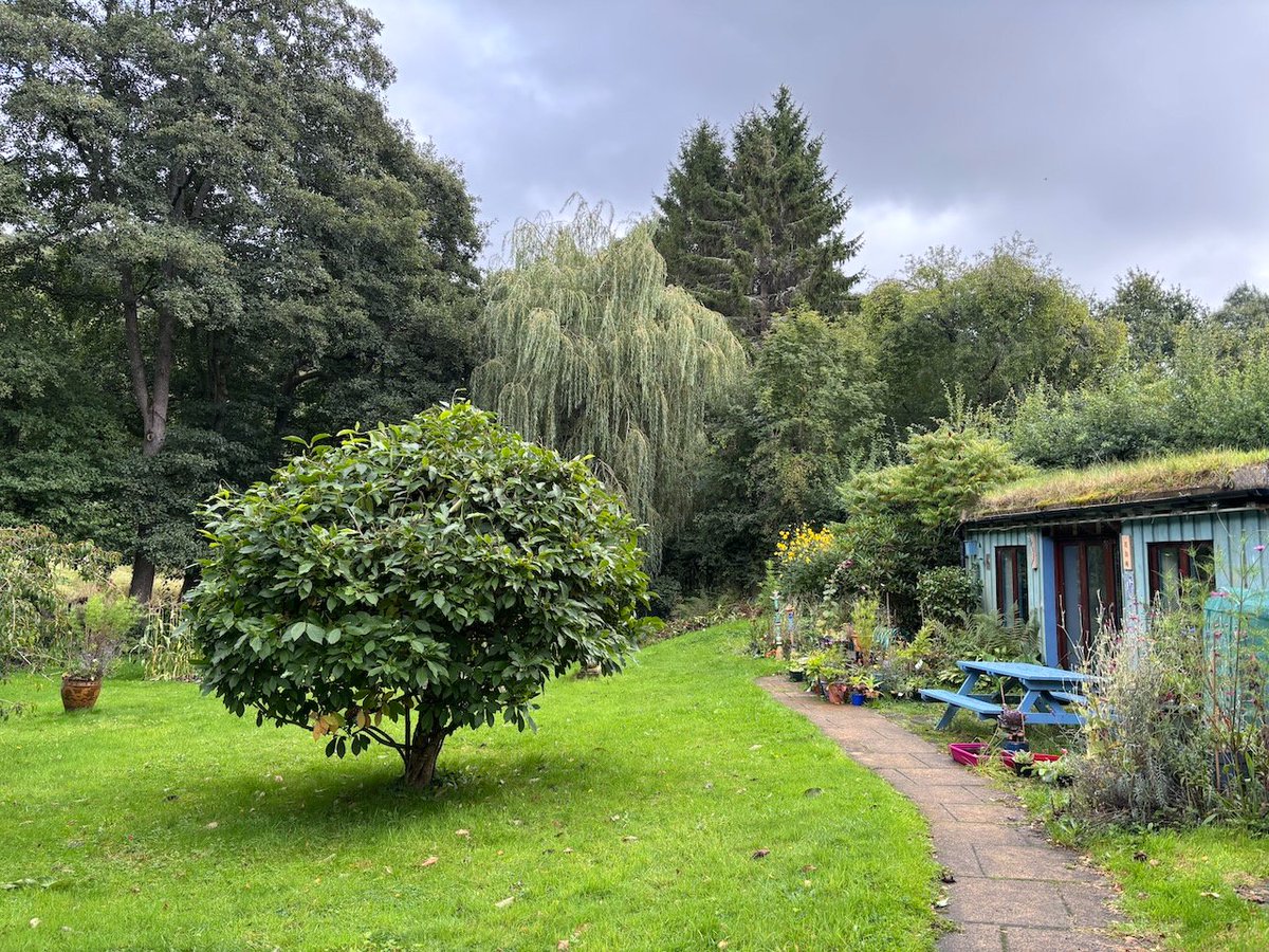 マクギネス真美／コーチ・マミータ tweet media