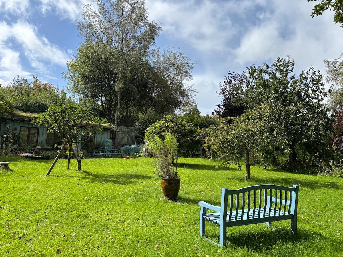 マクギネス真美／コーチ・マミータ tweet media