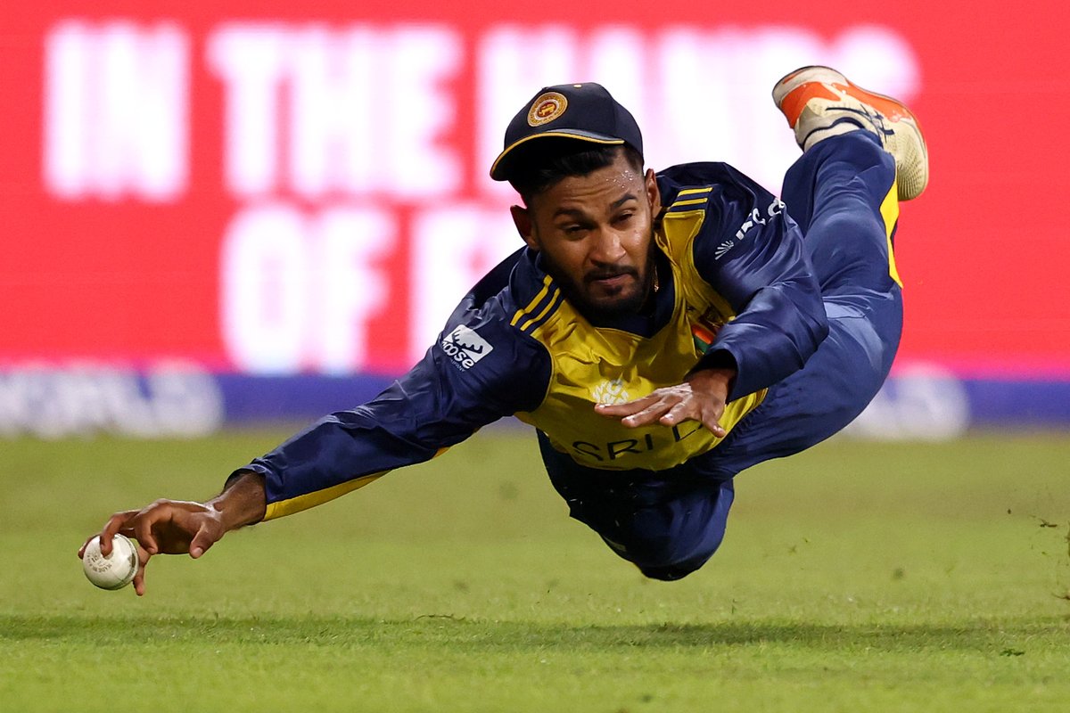 Robert Cianflone tweet media