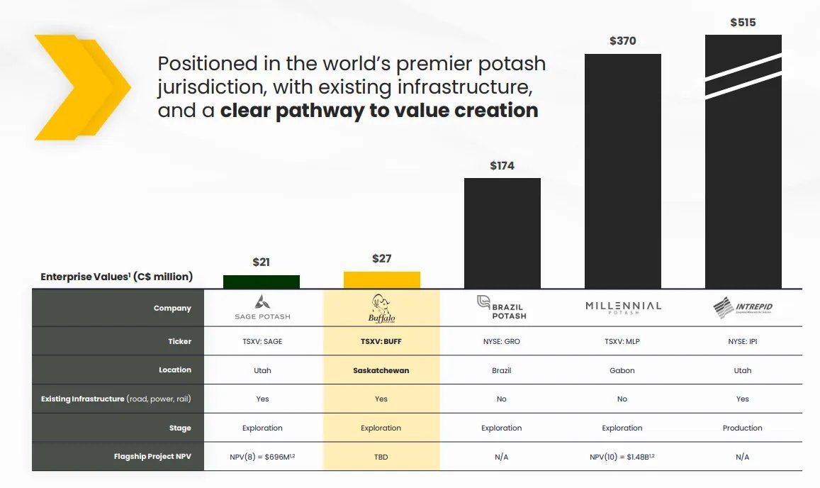 JEFFERY @TriggeredCapital tweet media