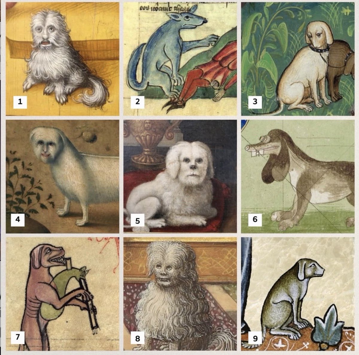 ArtMemeLord's tweet photo. On a scale of #medieval dog, how are you feeling today? https://t.co/iuAUjuavTh