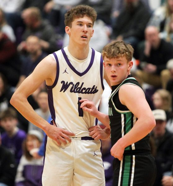 Perez_Sports's tweet photo. Breaking🏀

Lorain County Division V-VII Co-Player of the Year: Liam Goran (Keystone), Colt Cowling (Keystone)

Coach of the Year: Jeff Holzhauer, Keystone

@KLSD_Sports @MJournalSports https://t.co/63dqCUbxqM