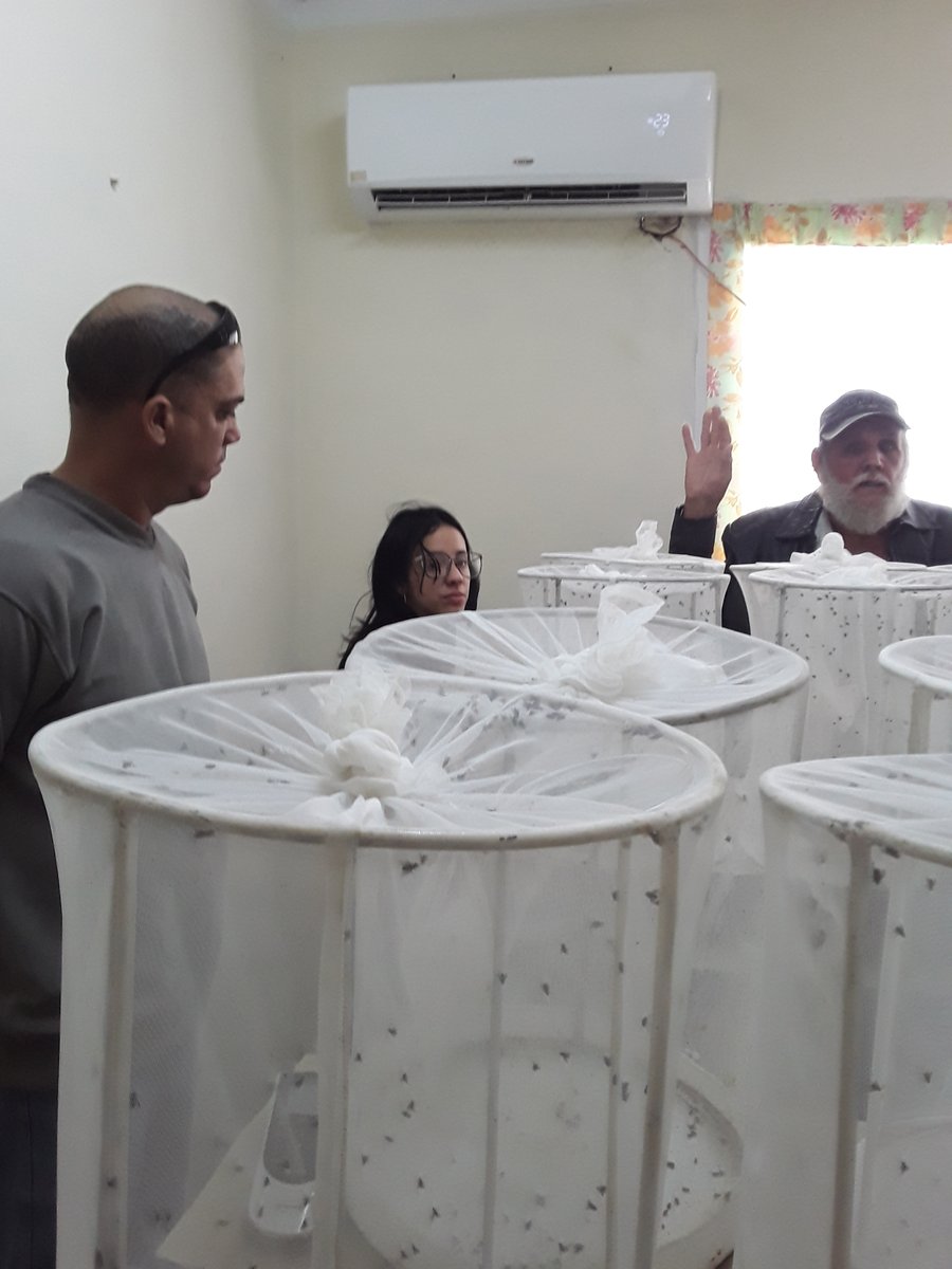 Con el objetivo de profundizar en la asignatura de Educación Moral y Ciudadana, sobre la importancia de la responsabilidad laboral  y la Formación Vocacional, se realiza visita  al CREE en nuestra comunidad. <a href="/CubaMined/">MINED</a> @Educaciónvc @Yamilet500886