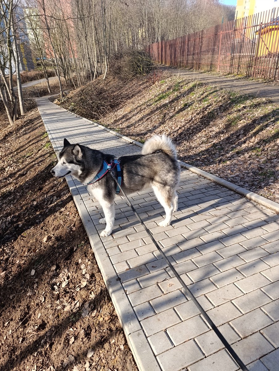 Tak co, kundy? Makáte?