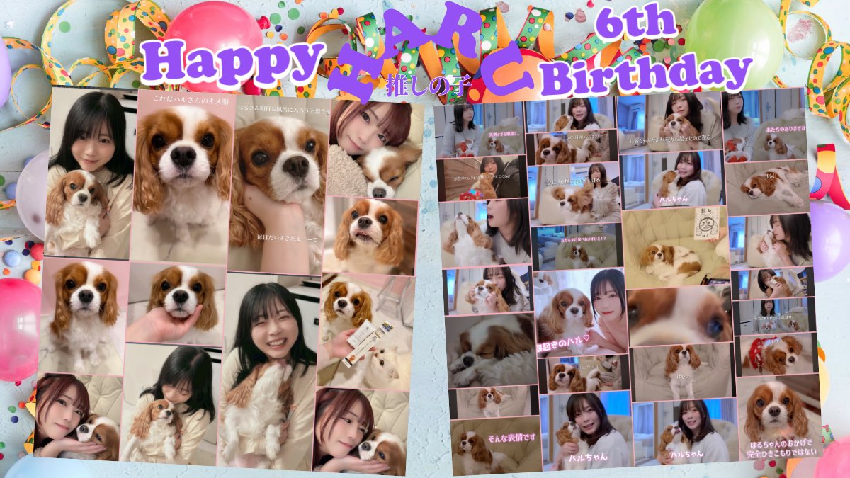 lawson_lks's tweet photo. 今日は推しの子🐶はるさん
6才お誕生日🎊🎂🎈🎁㊗️
おめでとうございます‼️
今年も元気に生きていてくださって私もう最大の幸福を感じますよ🥹🫶🏻 https://t.co/j4MjnLud3x