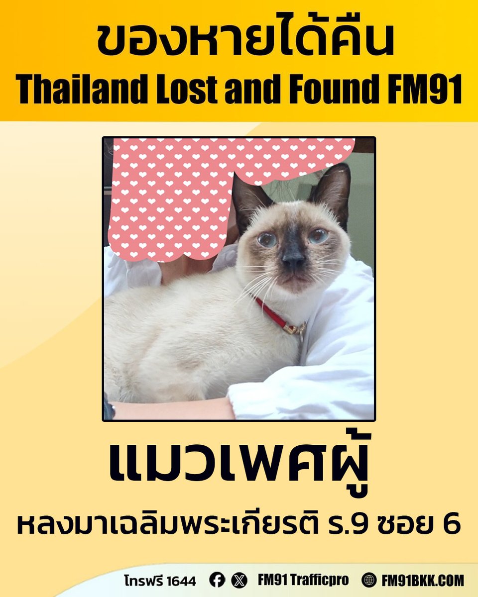 ตามหาเจ้าของแมว เพศผู้ สีครีมนวล มีปลอกคอสายสีแดงลูกปัดสีทอง มีจุดสีน้ำตาล ที่บริเวณใบหู 2 ข้าง ,ใบหน้า ,ขาหน้า และหาง พลัดหลงมาอยู่เฉลิมพระเกียรติ ร.9 ซอย 6 เวลา 05.00 น. วันนี้ (25 ก.พ. 69)

หากใครเป็นเจ้าของติดต่อกลับที่หมายเลขโทรฟรี 1644 สวพ.FM91 ได้ตลอด 24 ชั่วโมง