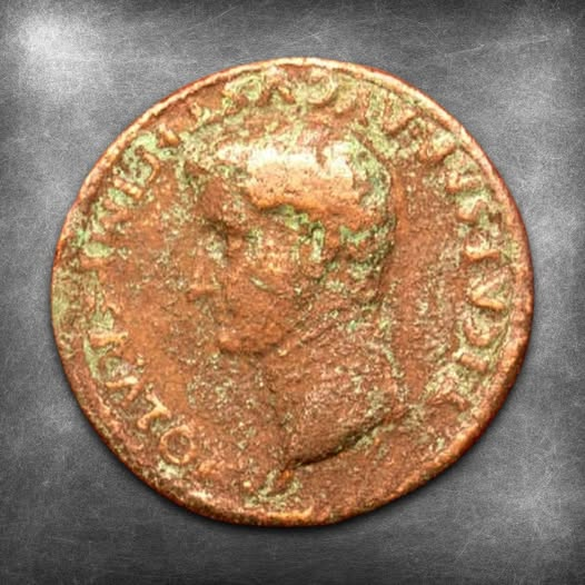 Limerick Museum tweet media