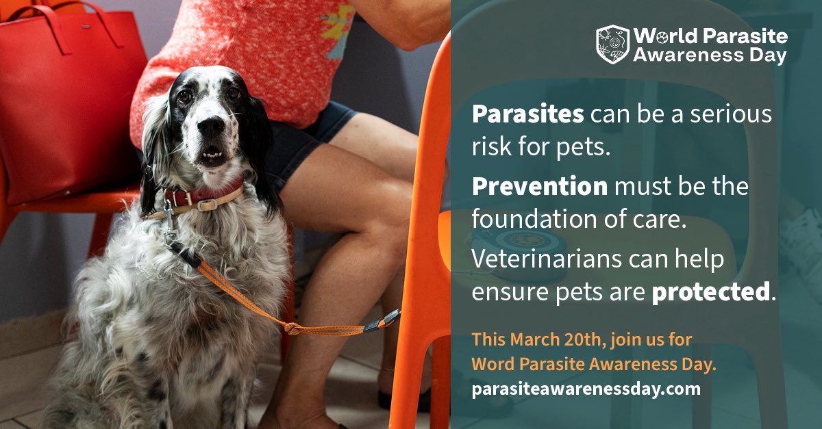 Rodrigo Morchón García tweet media