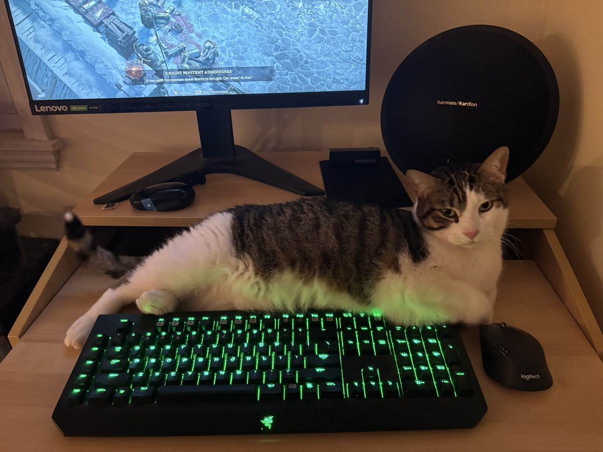 Tank_Gates tweet media