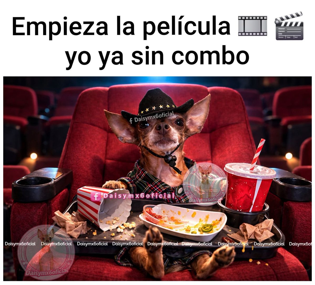 Rafa 𝕏 tweet media