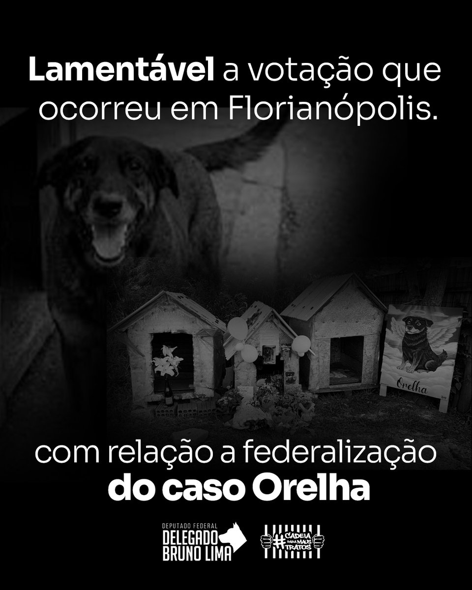 Lamentável a votação ocorrida em Florianópolis com relação à federalização do caso Orelha. Diante disso, estamos destituindo a vereadora do Movimento Cadeia para Maus-Tratos.