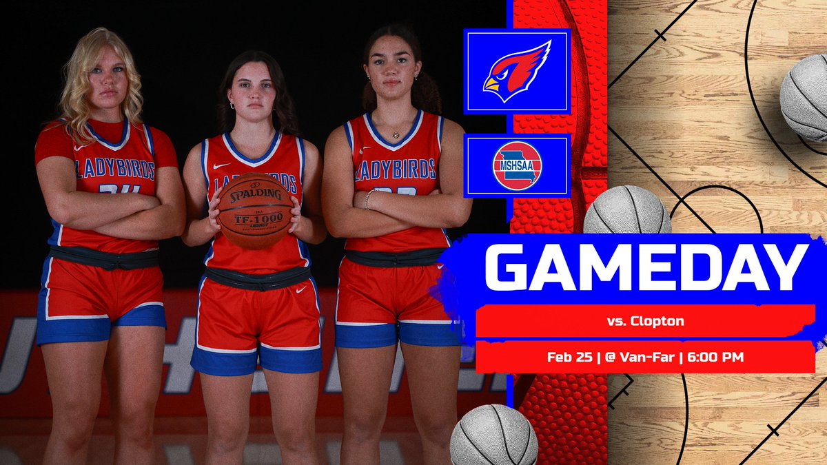 SS Ladybirds Basketball tweet media