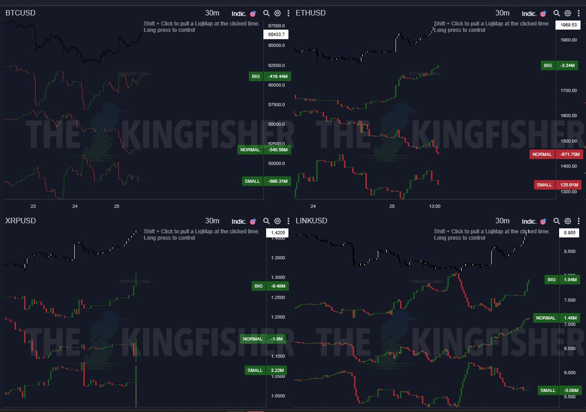 BLITZZ 🎒 tweet media