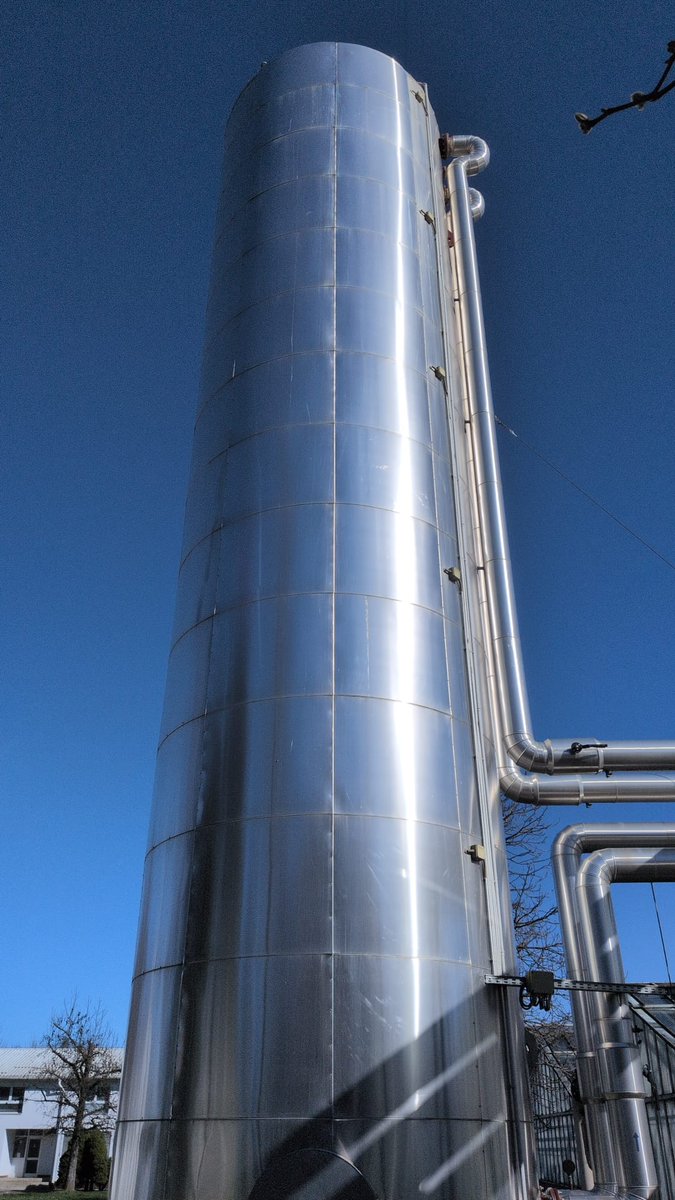 LOCAL GoGREEN tweet media