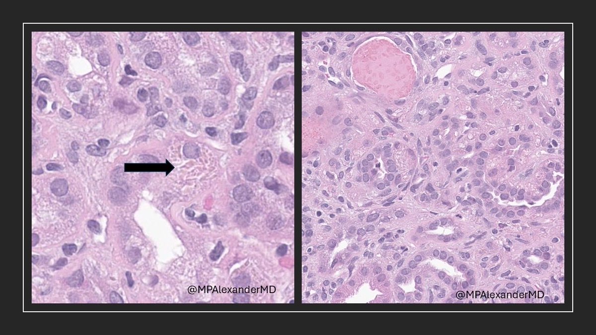 Priya Alexander, MD tweet media