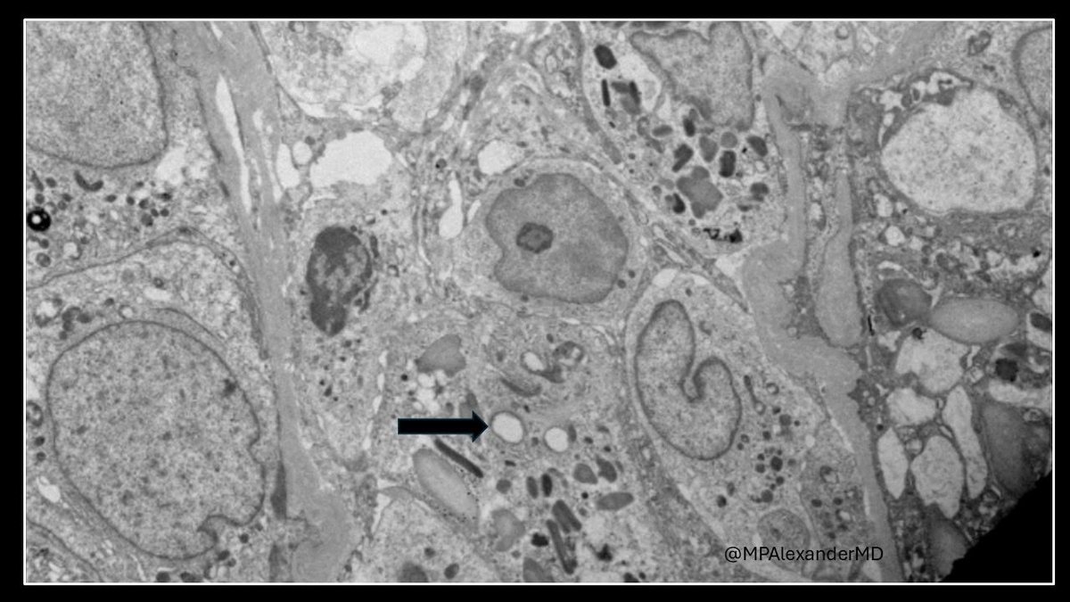 Priya Alexander, MD tweet media