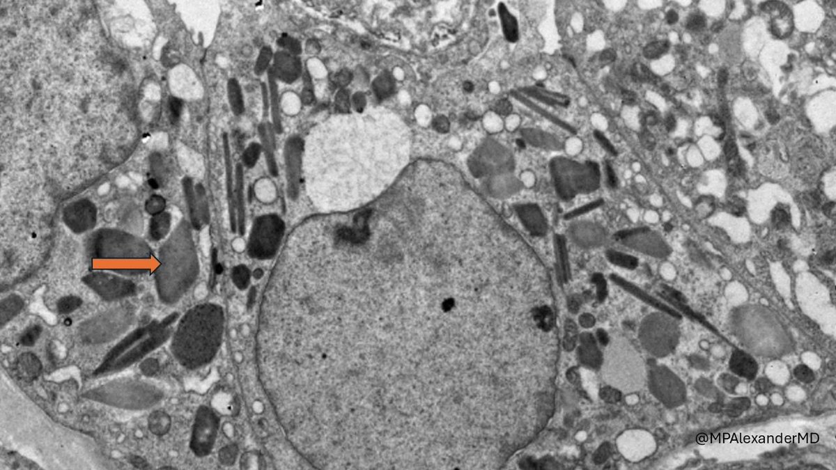 Priya Alexander, MD tweet media