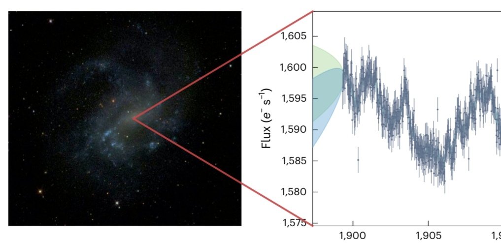 Gaston Giribet tweet media