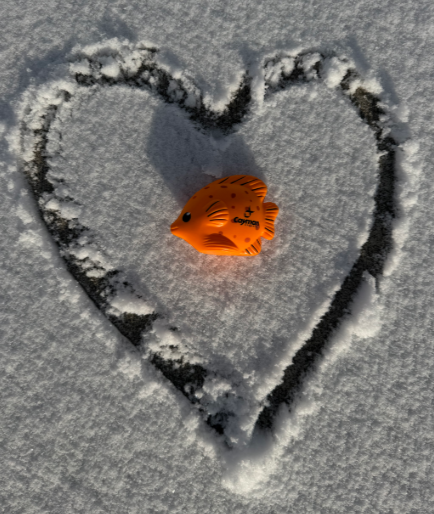 CaymanChemical's tweet image. From the snowiest days to the sunniest ones, Cayman supports all of your research needs. ❄️☀️🔬

#CaymanChemical #ResearchSupport #LifeScience #LabLife #ScientificResearch #SquishFish