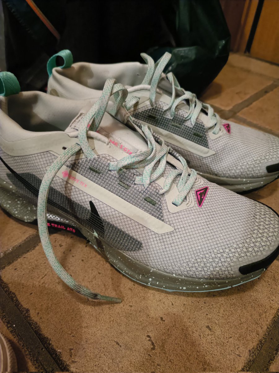 kadio_running's tweet photo. 満を持して出番を迎えたペガサストレイル5GTX
幅の圧迫感がかなりあって残念ながら実用は無理そう
デザイン好きなのに残念…
雨用シューズまた探さないと🤔 https://t.co/DrMzhwITc9