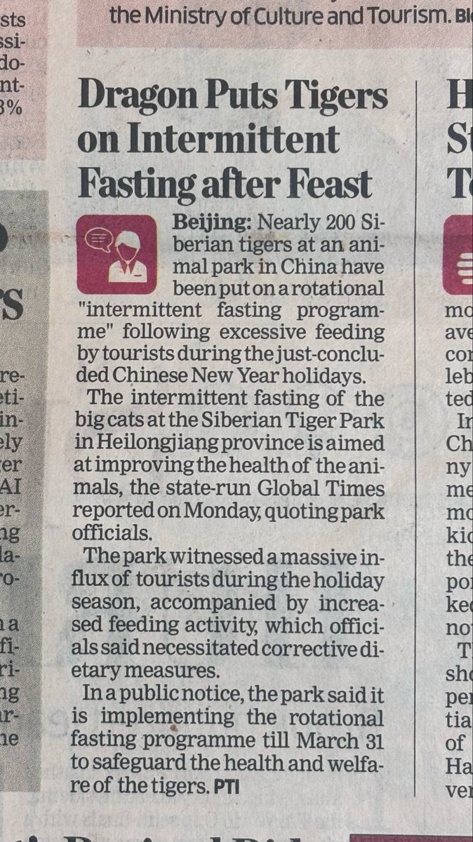 swethapai's tweet photo. Siberian Tigers working with Fitness influencers be like -
“Intermittent fasting changed my life” https://t.co/MbWpnXiMec