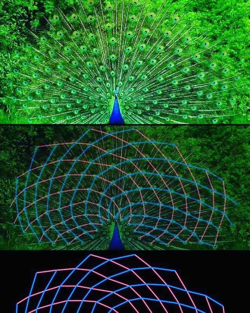 My religion is whatever this is