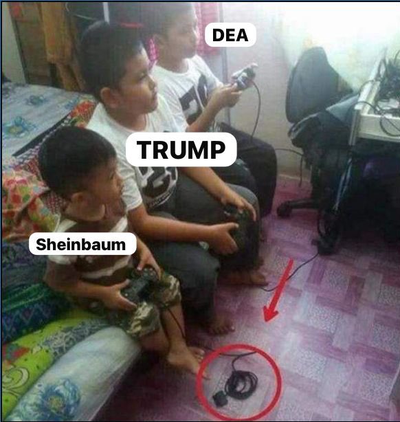 Resumen de la semana en la detención del Mencho