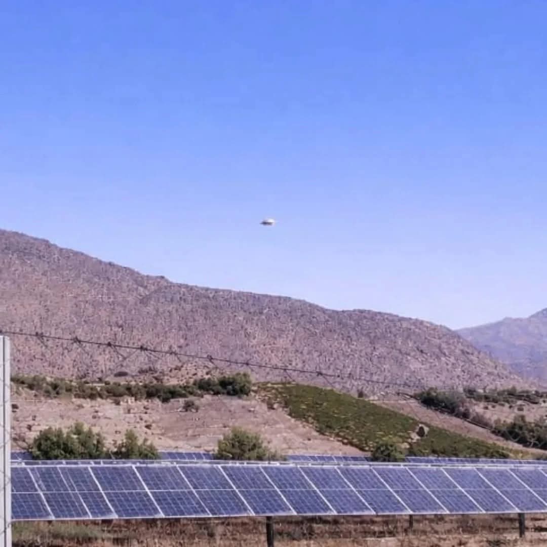 UFOs&Aliens🛸UAP➡ Unknown Alien-looking Phenomena tweet media