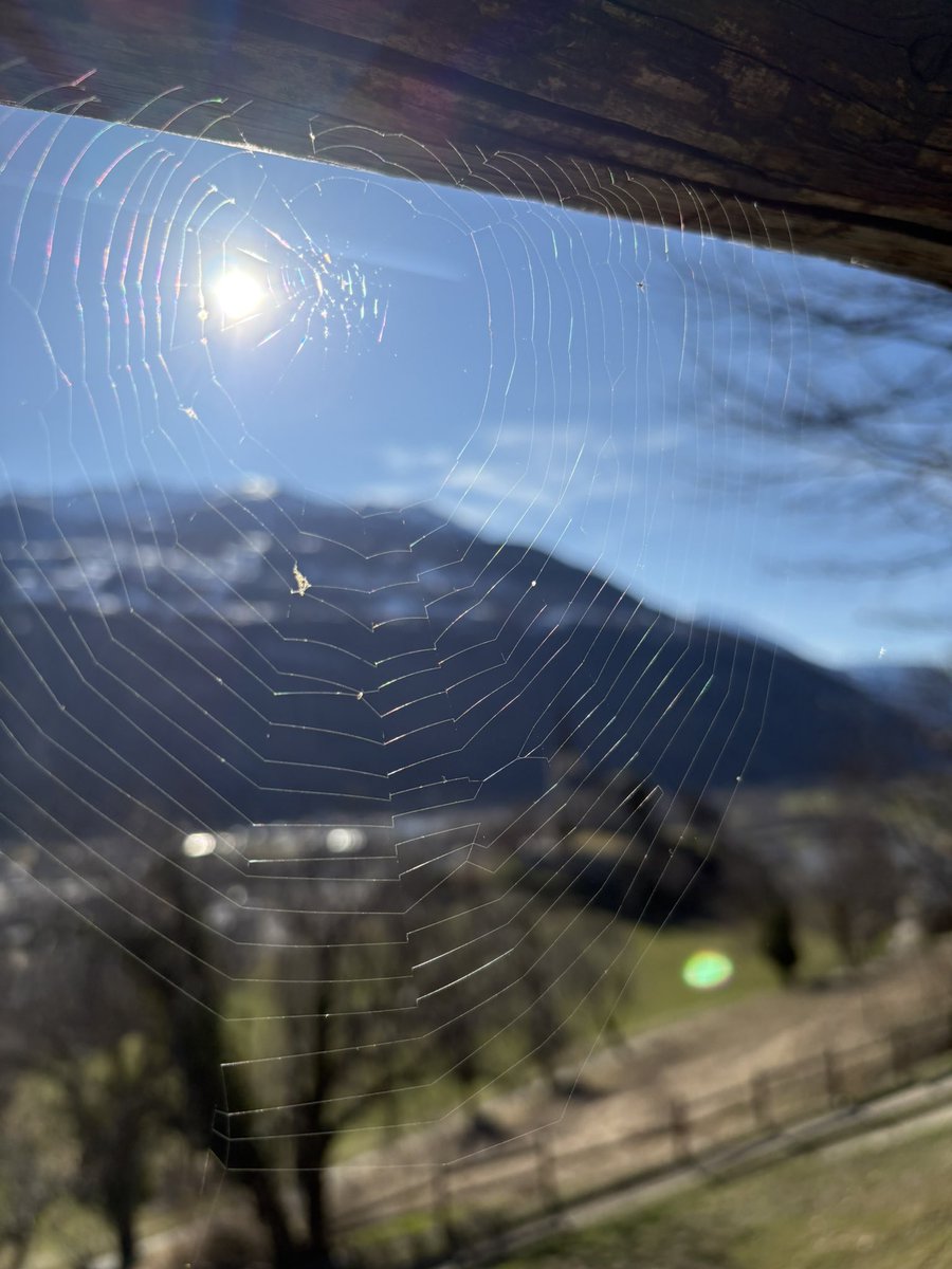 Her canlının yaşam mücadelesi, doğanın en temel yasalarından biridir.
Peki bu insanlarda neden karmaşık bir durumda...?