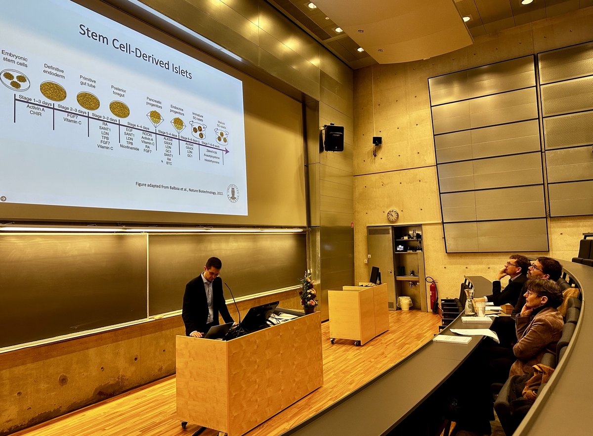 Simona Chera tweet media