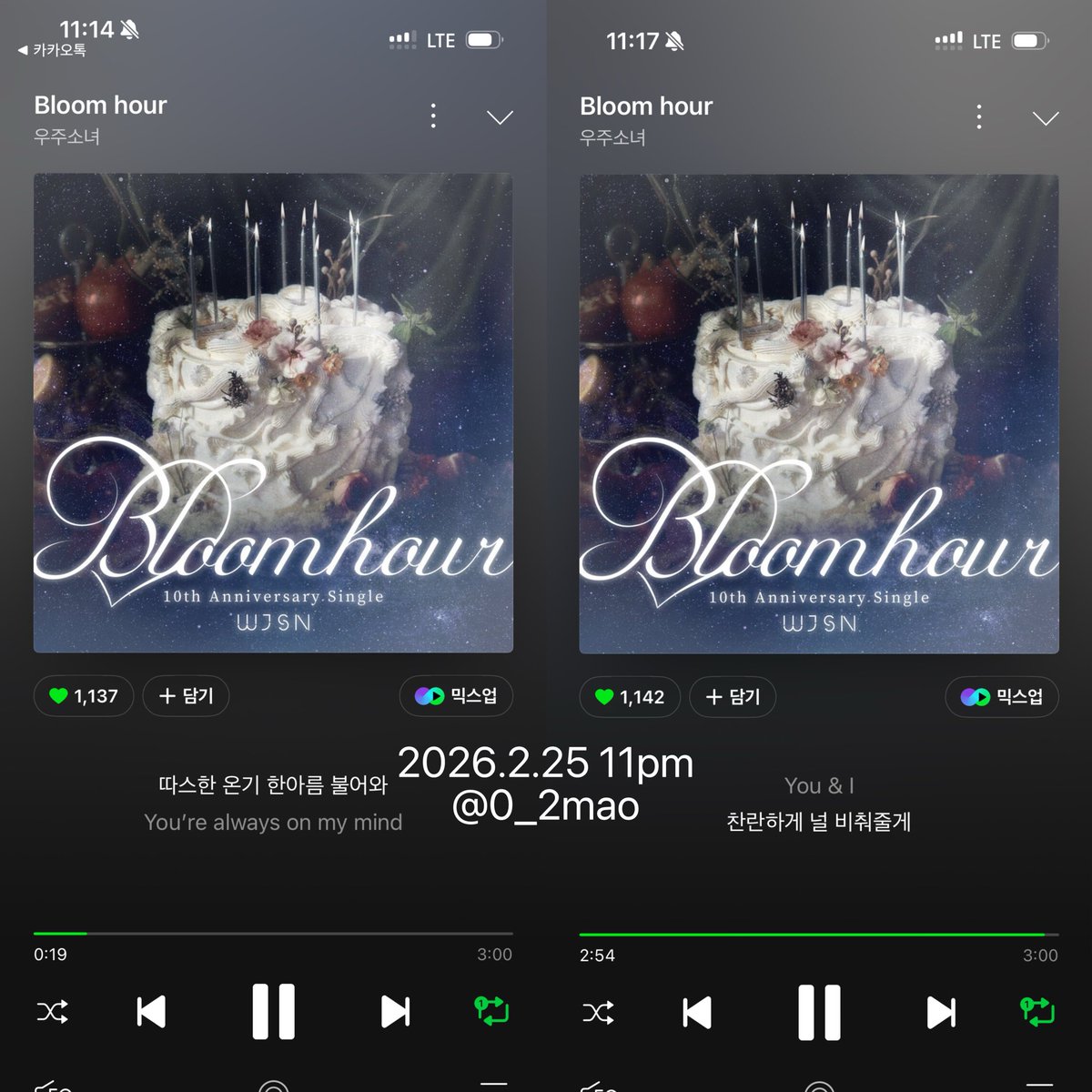 마오마오 tweet media